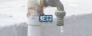 蛇口