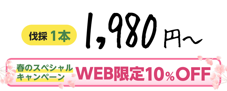 春のキャンペーンWEB20%OFF