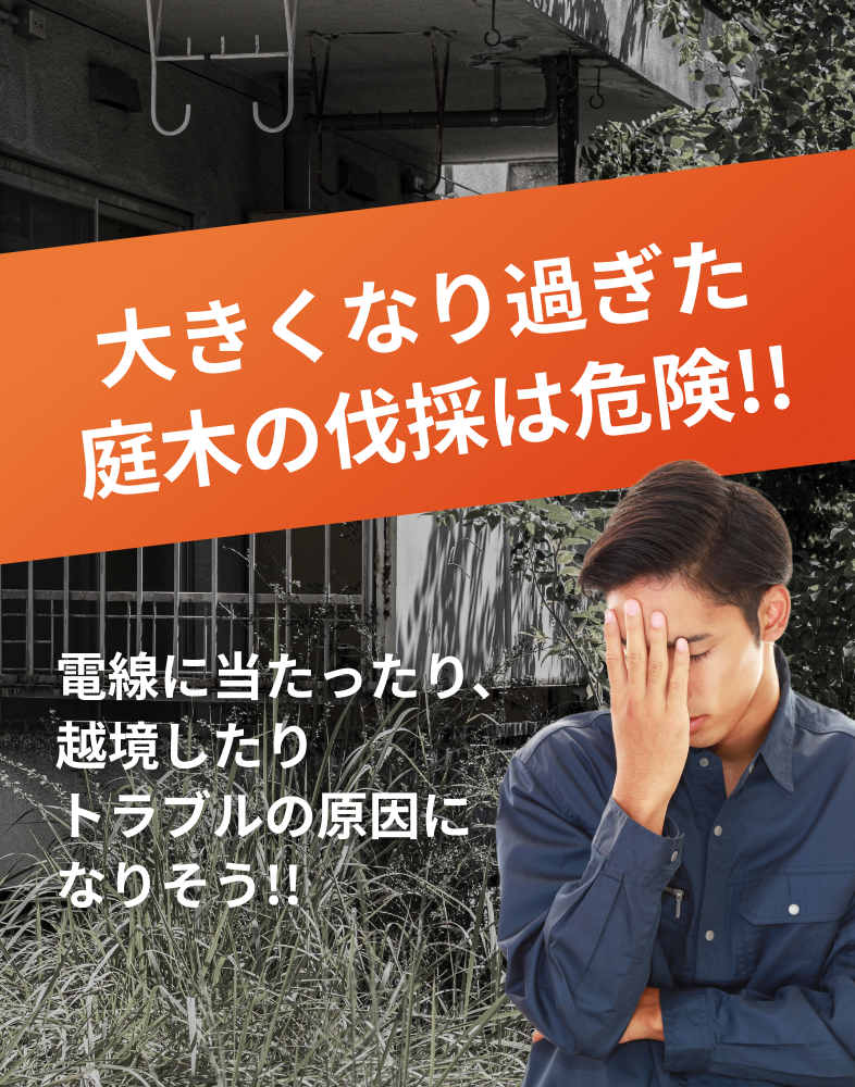 大きくなりすぎた庭木の伐採は危険!!