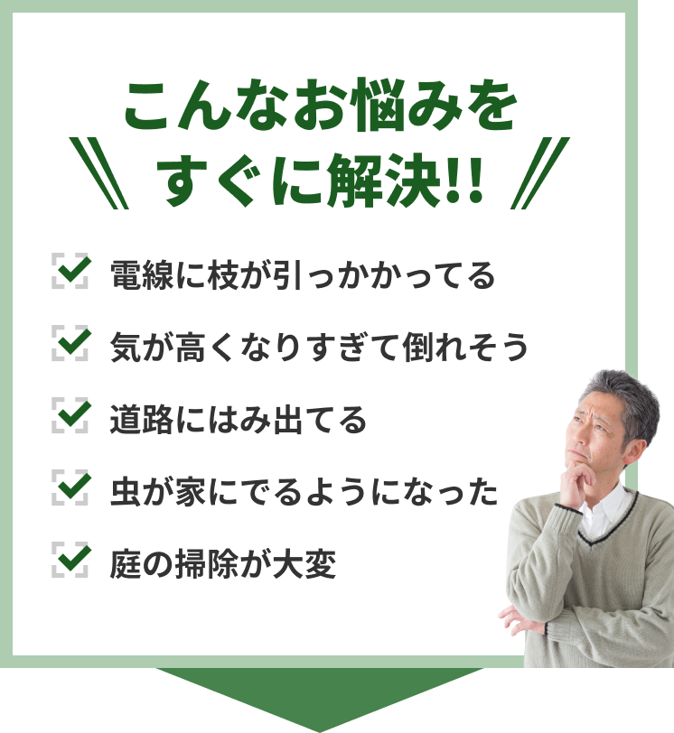 こんなお悩みをすぐに解決！！　電線に枝が引っかかっている　木が高くなりすぎて倒れそう　道路にはみ出てる　虫が家にでるようになった　庭の掃除が大変