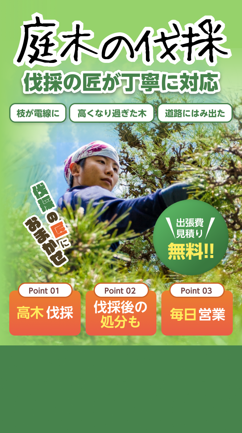 庭木の伐採　伐採の匠が丁寧に対応