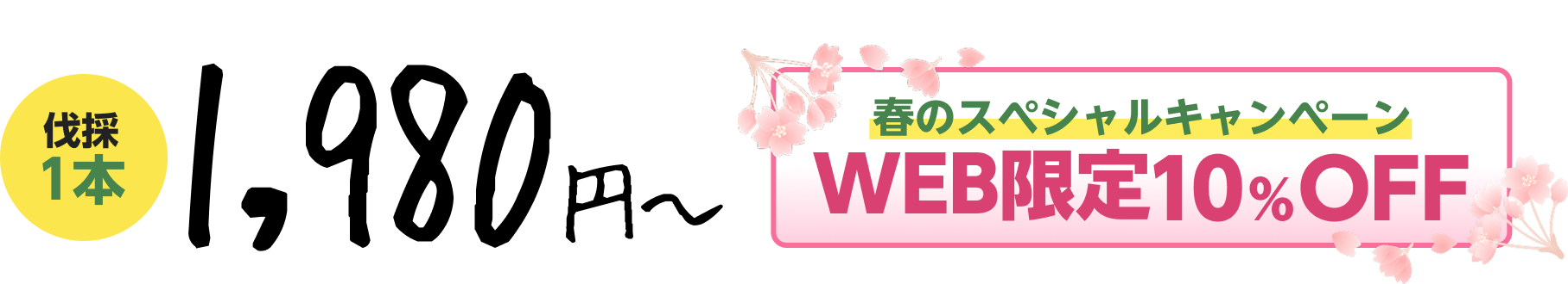 春のキャンペーンWEB20%OFF