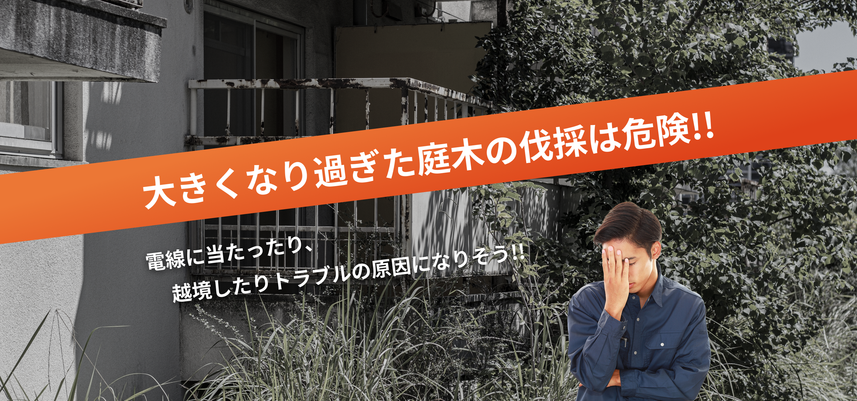 大きくなりすぎた庭木の伐採は危険!!