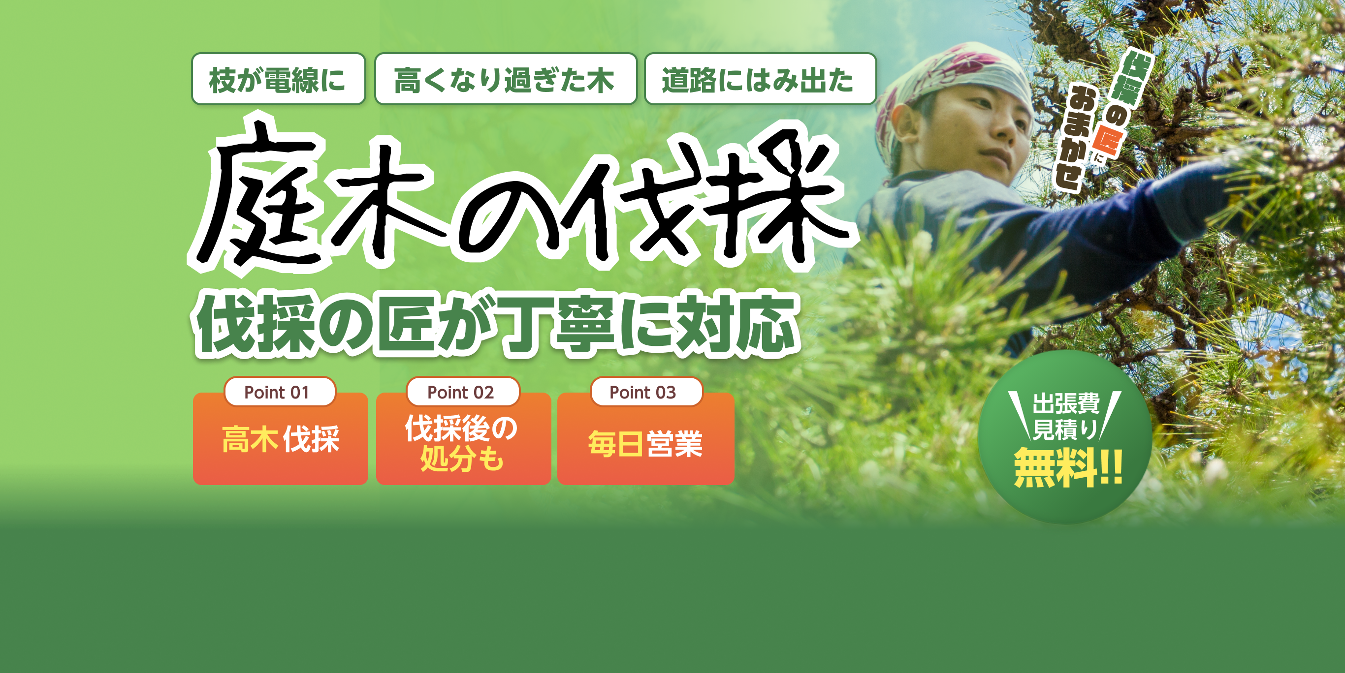 庭木の伐採　伐採の匠が丁寧に対応