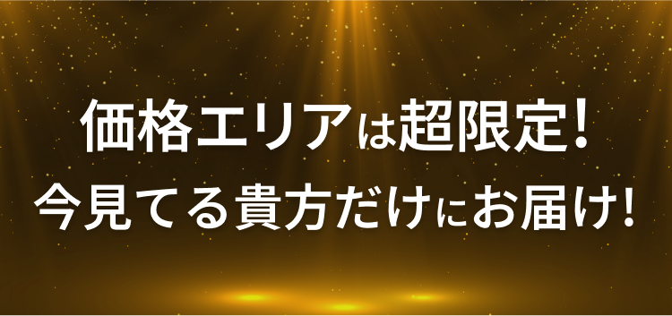 価格エリアは超限定！今見てるあなただけにお届け！