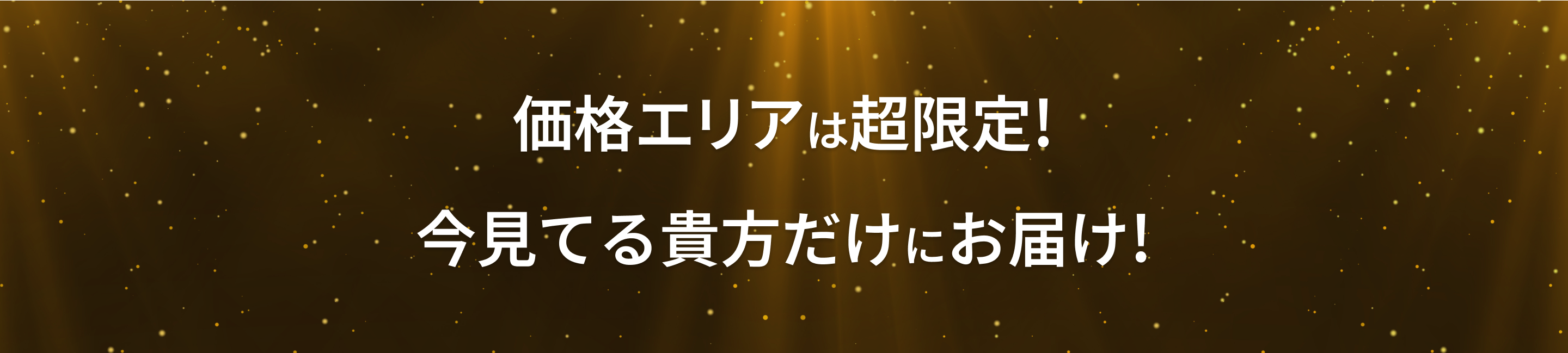 価格エリアは超限定！今見てるあなただけにお届け！